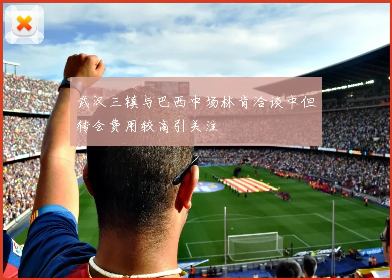 武汉三镇与巴西中场林肯洽谈中但转会费用较高引关注