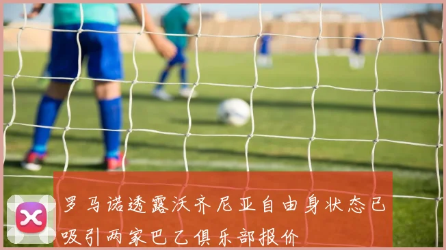 罗马诺透露沃齐尼亚自由身状态已吸引两家巴乙俱乐部报价